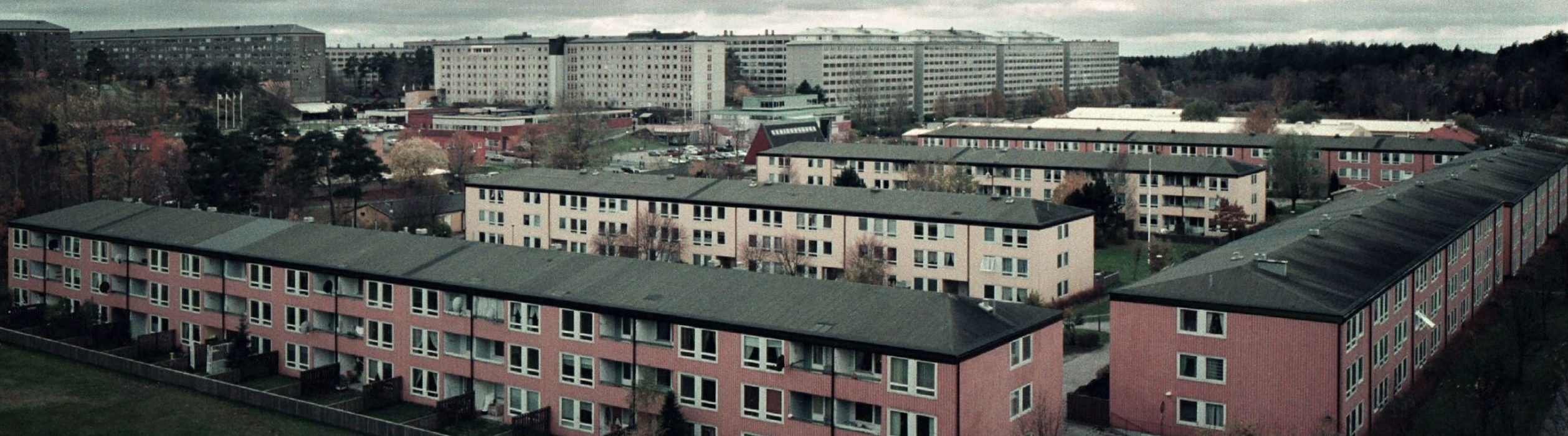 Konceptrenoveringarna utförs i miljonprogramsområden och leder på lång sikt till en undanträngning av vissa grupper, enligt Hyresgästföreningens rapport.