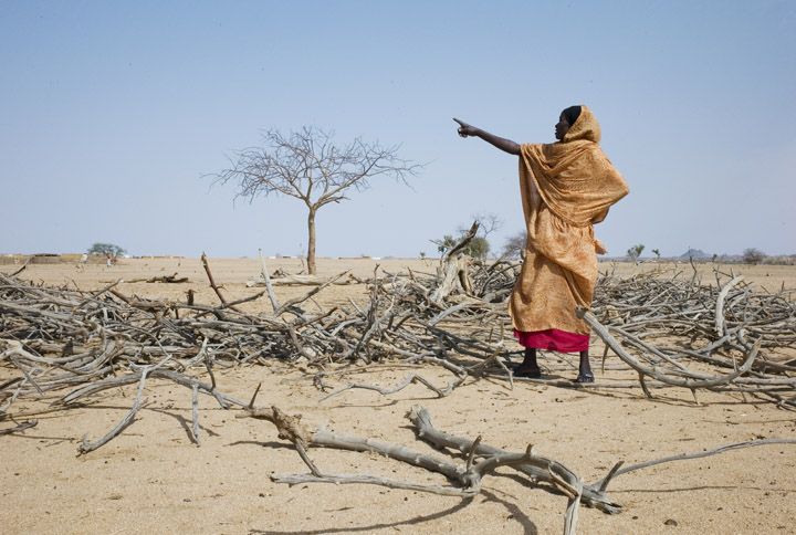 En kvinna från Sudan samlar ihop ved i flyktinglägret Iridimi i östra Tchad.