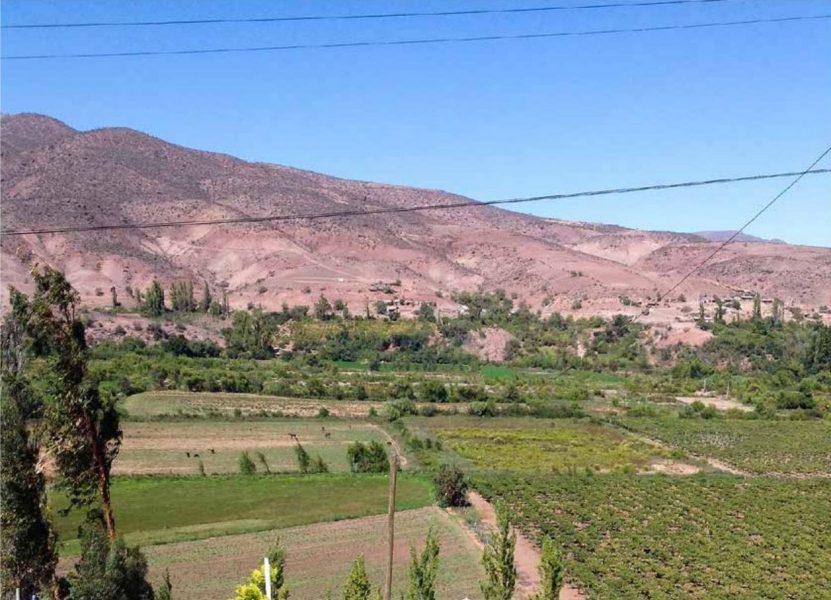 Småbönder i Samo Alto i norra Chile tvingas dela på de begränsade vattnet från ﬂoden Hurtado med de stora jordbruksföretag som byggt en damm längre ner längs ﬂoden.