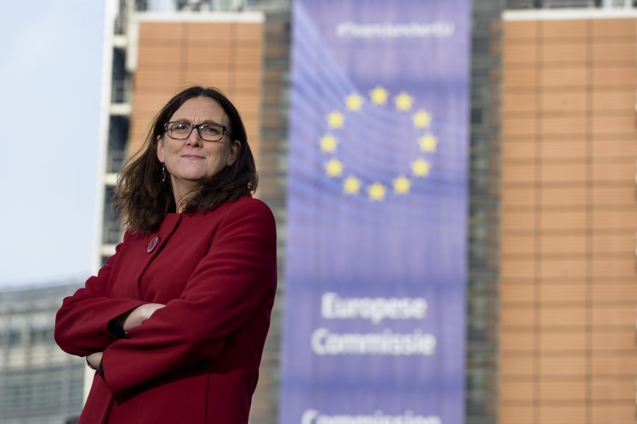 EU-kommissionär Cecilia Malmström vill att Erik Ullenhag blir ny partiledare för Liberalerna.