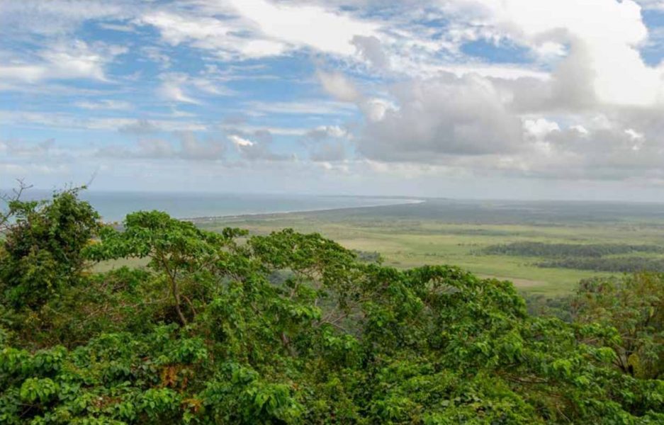 Nariva Swamp, ett unikt träskområde i Trinidad och Tobago, anses vara mycket viktigt för den biologiska mångfalden, förvaltningen av kustområden och som koldioxidupptag.