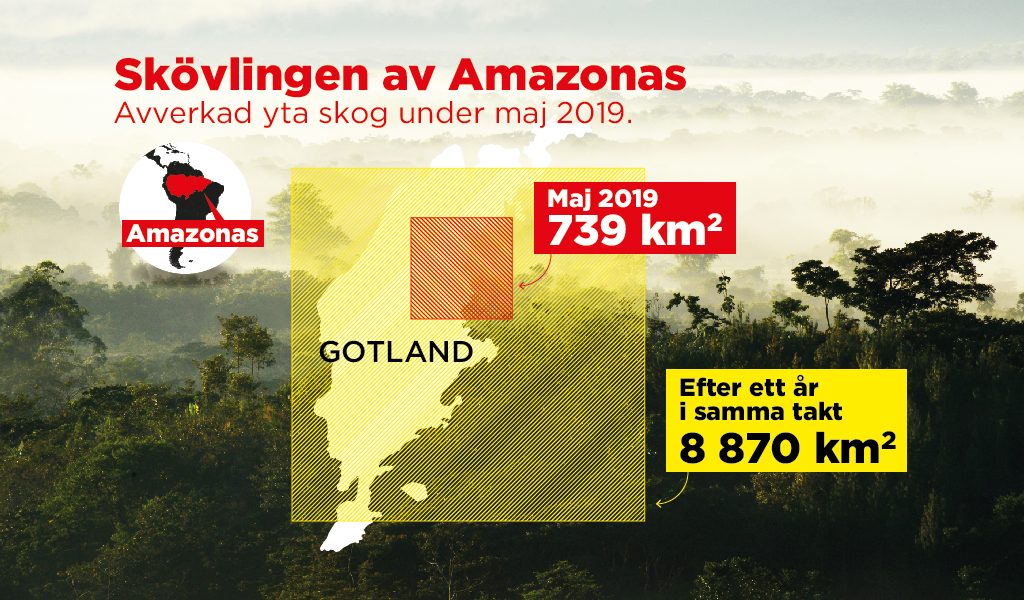 Avverkad yta skog under senaste månaden jämfört med Gotland.