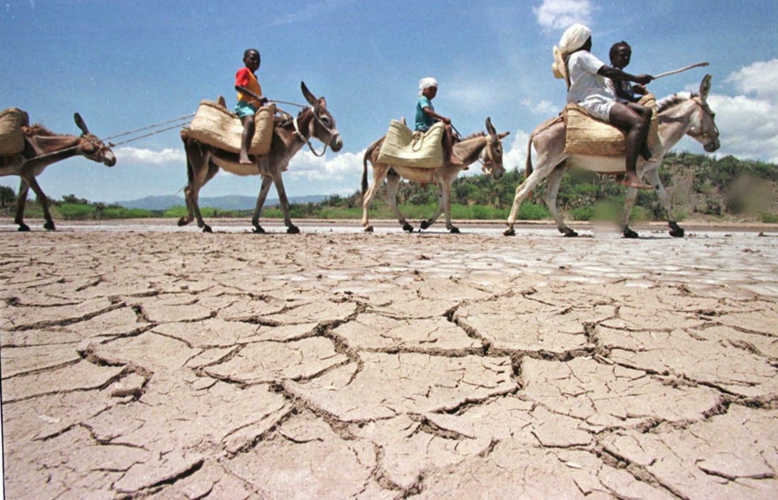 ADVANCE FOR SUNDAY, JUNE 22--FIRST OF SIX PHOTOS--A family aboard mules traverses the land, May 23, 1997, near Anse Rouge in northwest Haiti, where months of drought has parched much of the terrain. Seedlings have withered and crops died, along with herds of livestock. (AP Photo/John McConnico)