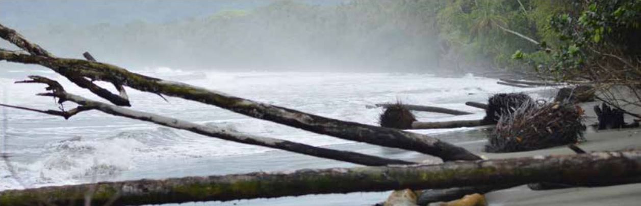 I nationalparken Cahuita i östra Costa Rica vid Karibiska havet krymper stränderna som en följd av kusterosion.
