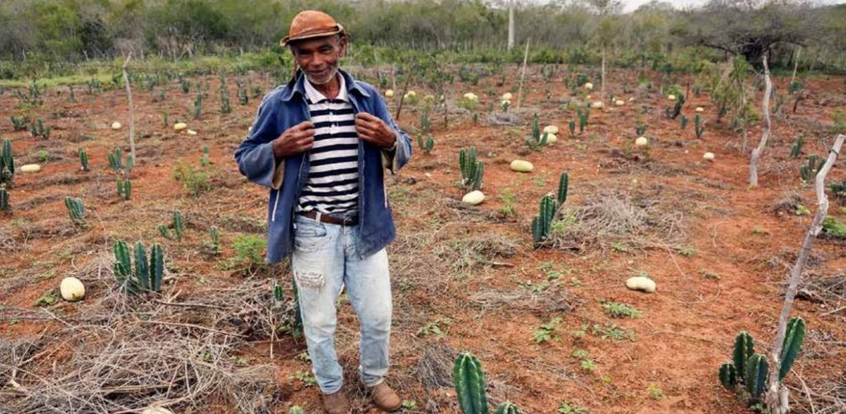 João Afonso står mitt bland sina vattenmeloner på gården i Canudos i delstaten Bahia i nordöstra Brasilien.