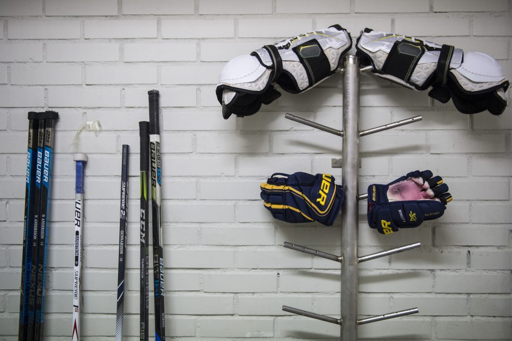 Hockeyutrustning, häst eller tio par skidor.