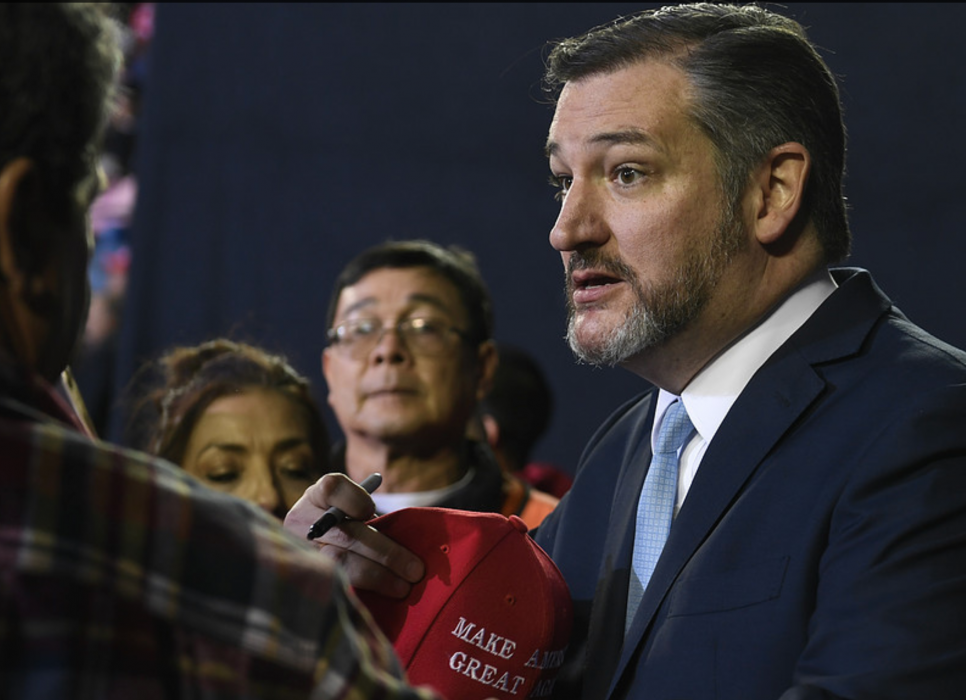 Foto: Susan Walsh/AP/TTDen republikanske senatorn Ted Cruz.