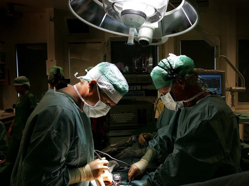 Foto: JACK MIKRUT / SCANPIX SWEDENAntalet avlidna som donerade organ sjönk något i fjol.