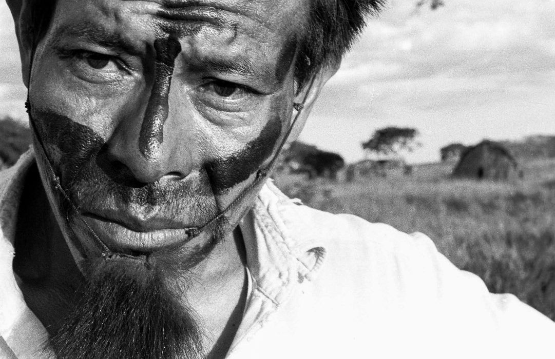 The Guarani are frustrated with the government's delay in returning their ancestral lands to them. Folkslaget guaraní bebodde före och delvis även under européernas ankomst i stora delar av Sydamerika