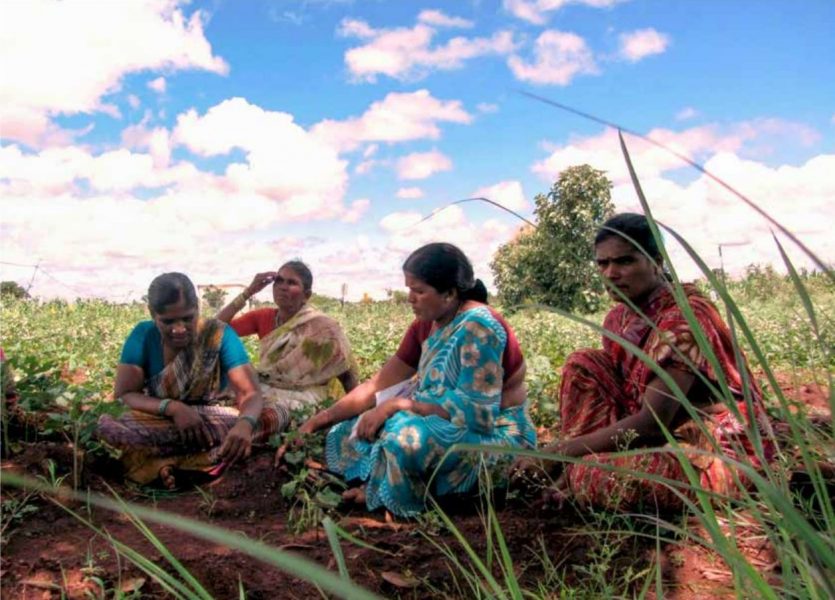 Dessa kvinnliga lokalpolitiker i den sydindiska byn Penakota tvingas gå ut på ett fält för att uträtta sina behov, eftersom det saknas toaletter på deras arbetsplats.