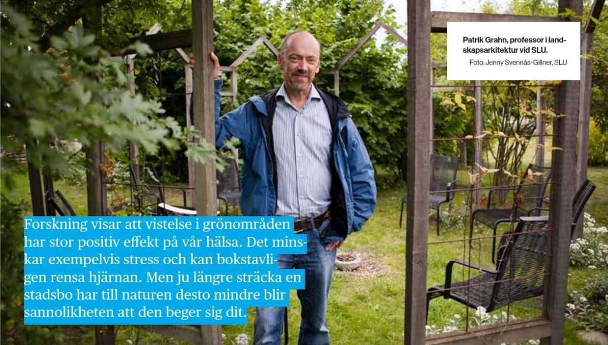 Patrik Grahn, professor i landskapsarkitektur vid SLU.