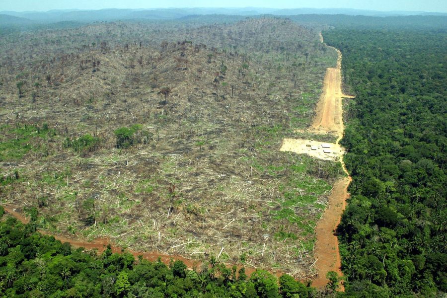 En flygbild över en avskogad del av Amazonas i Brasilien.