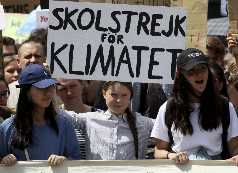 Greta Thunberg under en demonstration med den globala rörelsen Fridays for future i Wien.