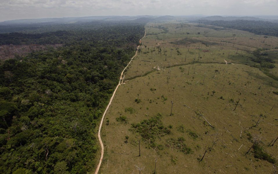 Världens skogar krymper, däribland Amazonas i Sydamerika.