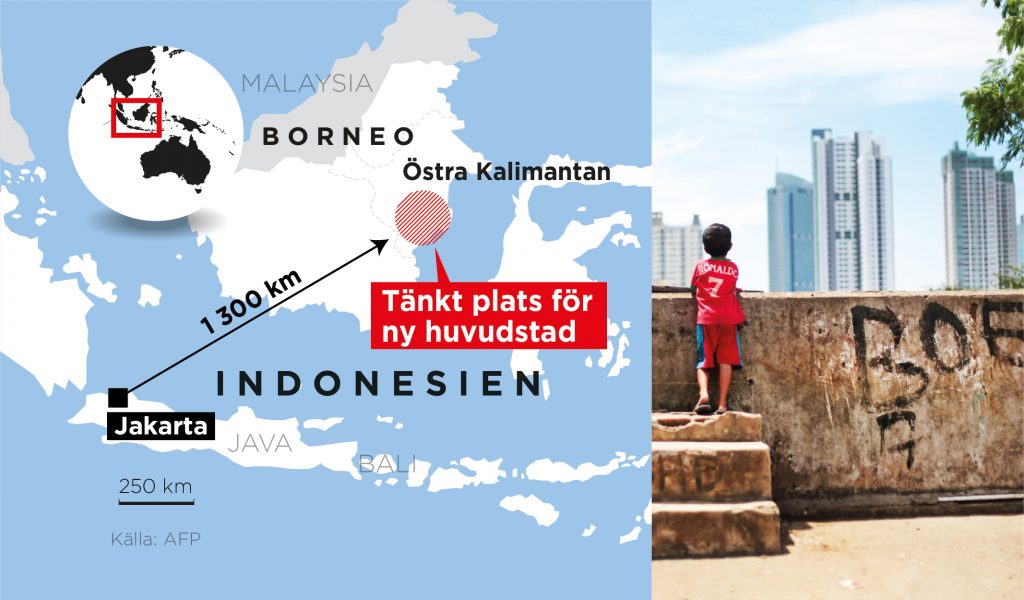 Den nya huvudstaden ska anläggas i den östra delen av Kalimantan, som är namnet på den indonesiska delen av ön Borneo som landet delar med Malaysia och Brunei.