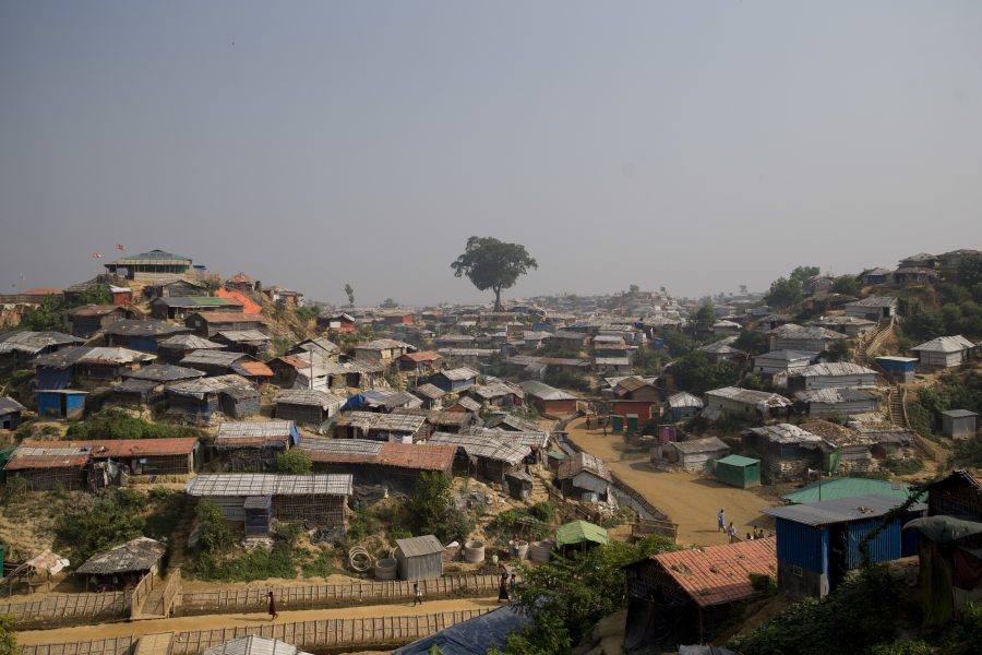 UNHCR har börjat intervjua rohingyaflyktingar i flyktinglägren i Bangladesh om hur de ställer sig till att återvända till Myanmar.