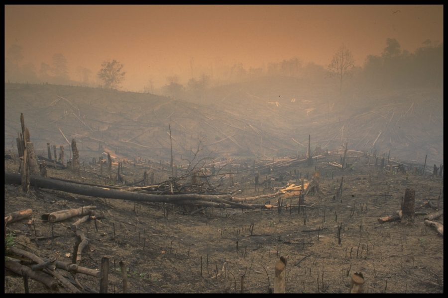 Stora skogsbränder rasar nu i Brasilien.