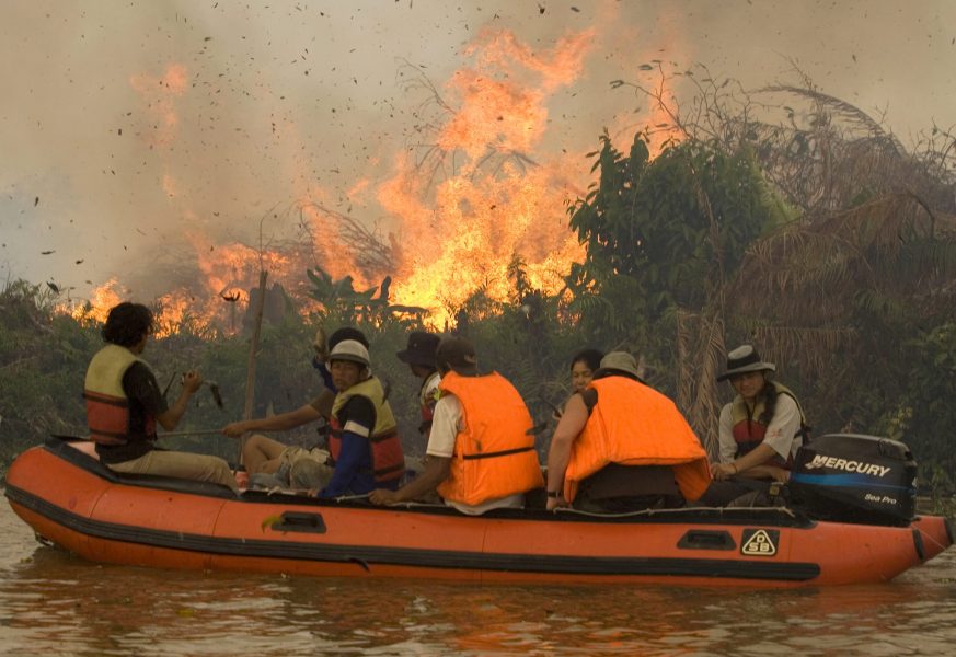 Miljöaktivister från Greenpeace bevittnar hur regnskog bränns för att ge plats för palmoljeplantager på Sumatra i Indonesien.