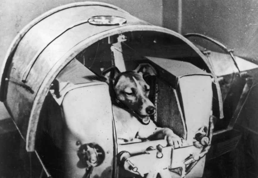 1957 skickade Sovjetunionen upp Sputnik 2 med numera mycket berömda hunden Laika ombord.