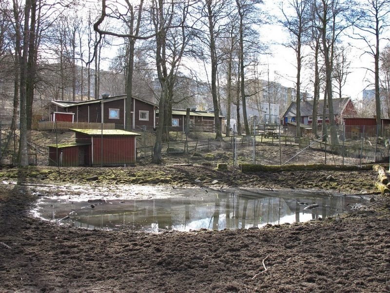 Fritidslantgården Galaxen i Bergsjön.