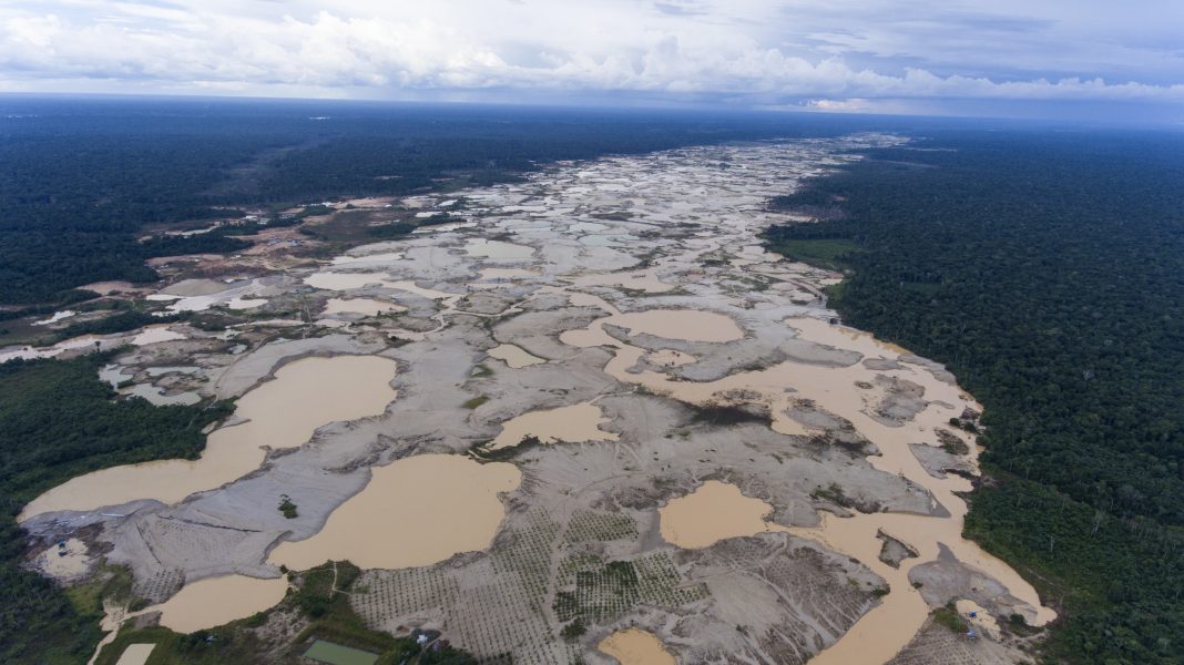 En bild tagen förra året som visar ödelagd regnskog i Amazonas, skövlad av illegala guldgrävare.