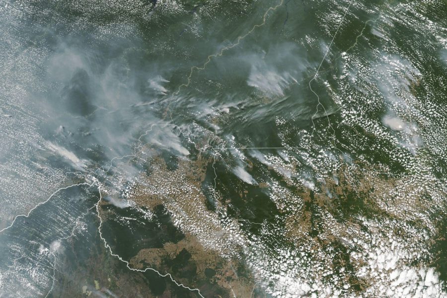 Antalet skogsbränder i Amazonas har ökat rejält i år.