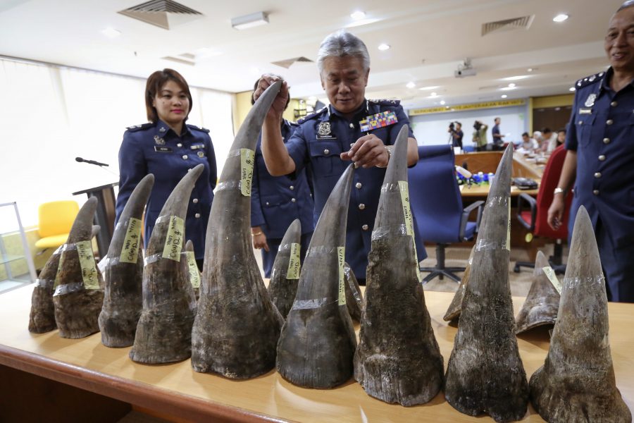 Ett beslag av noshörningshorn inspekteras på Kuala Lumpurs flygplats 2017.
