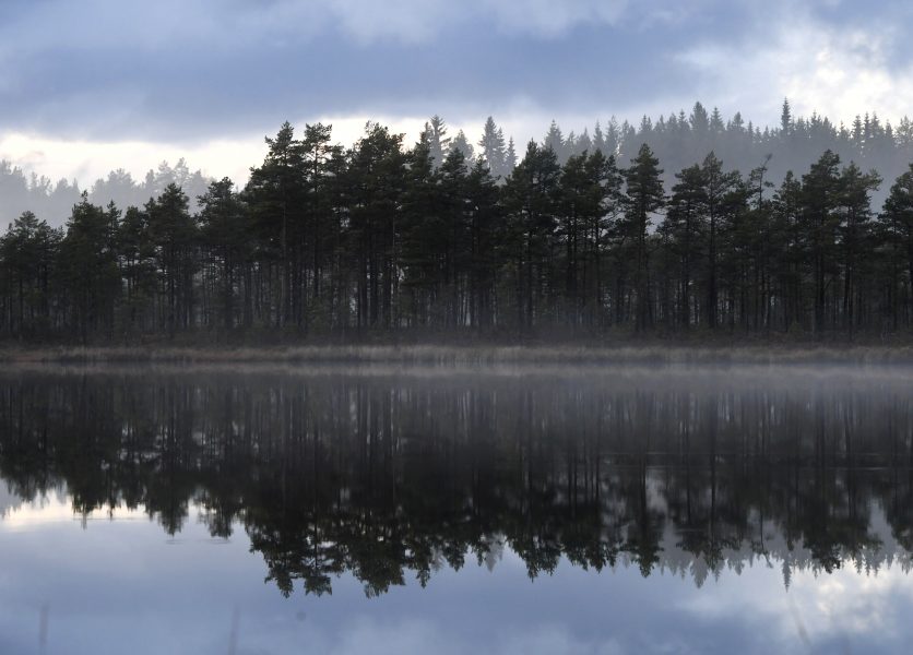 En stor del av naturreservatsskogen i Västra Götalands län saknar skydd och kan avverkas.