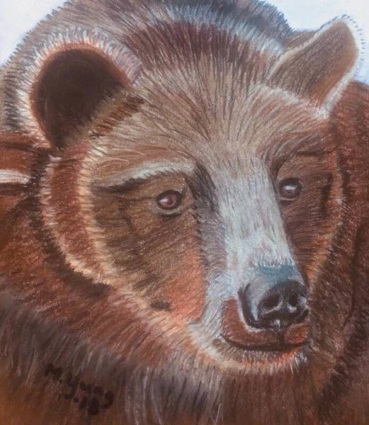 Maria Ljung ifrågasätter beslutet om att skjuta 300 fridlysta björnar.