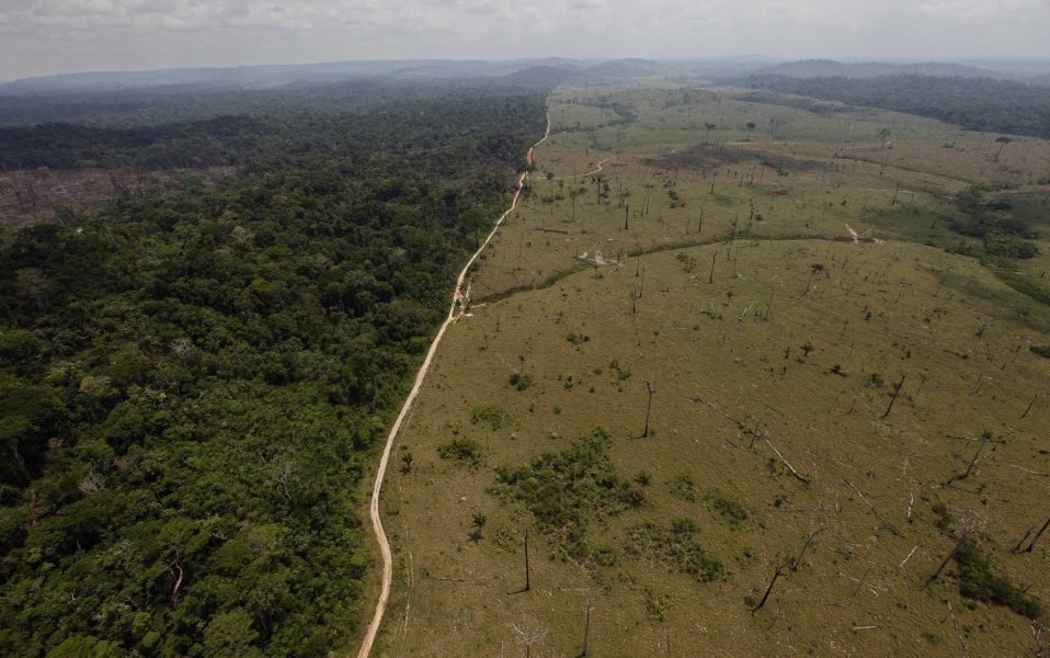 Skövlat område i närheten av området Novo Progresso i delstaten Pará i norra Brasilien, där nationalparken Jamanxim, som nu kan komma att krympas, är belägen.