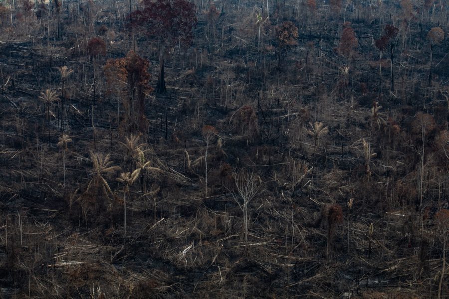 Antalet bränder har kraftigt ökat i Brasilien den senaste tiden.