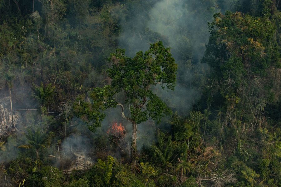 Flygbild från Altamira, Pará i Brasilien under de bränder som nu sveper över delar av Amazonas.