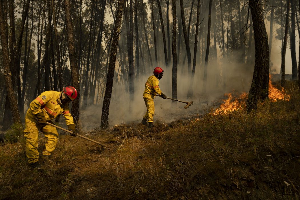 Brandmän kämpar mot skogsbränder i centrala Portugal i juli.