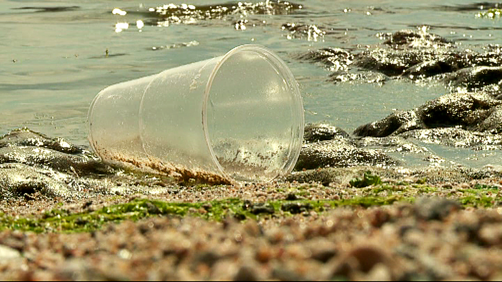 Plastavfall som dumpas riskerar att hamna i haven.