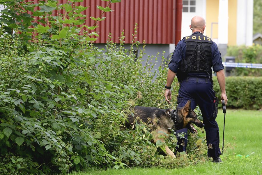 Att i ett tidigt skede använda polishundar har visat sig var en framgångsfaktor för polisens utredningsarbete.