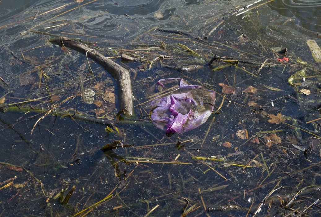 Varje år tvingas VA-bolag spola ut orenat avloppsvatten ut i havet.