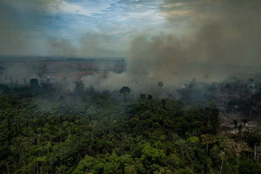Bild på bränderna i Amazonas taget den 20 augusti.