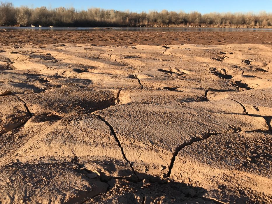 Mellan åren 2015 och 2019 beräknas den globala medeltemperaturen ligga 1,1 grader över den under förindustriell tid, enligt FN-rapporten.