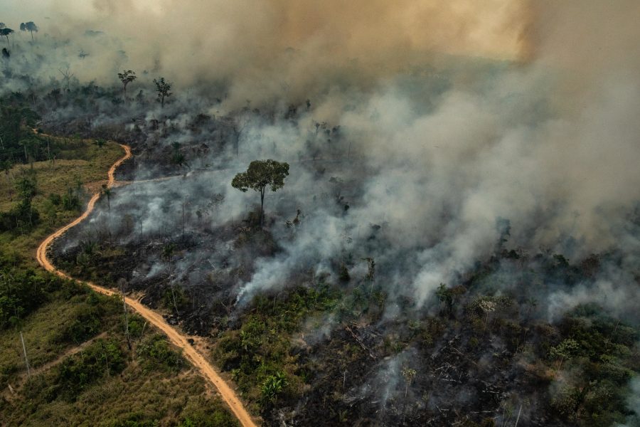 Bilder på bränderna i Amazonas tagna den 27 augusti.