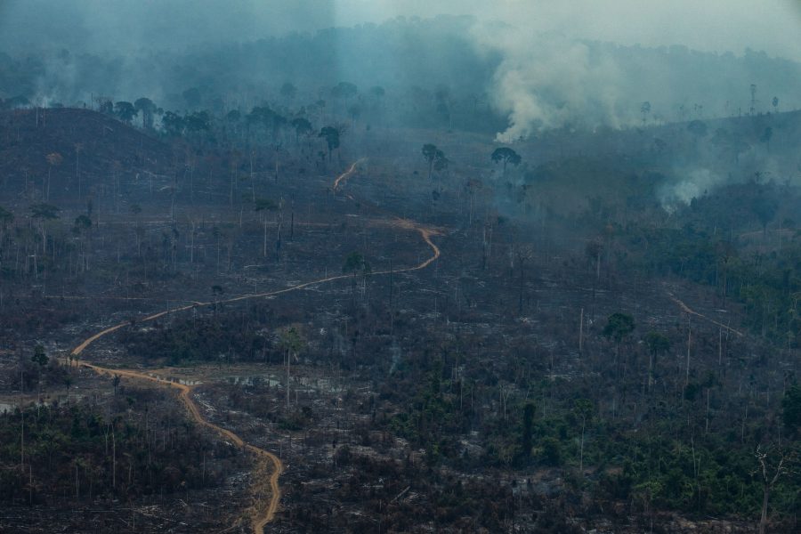 Bild tagen av Greenpeace i samband med en överflygning som organisationen gjorde i augusti för att dokumentera bränderna.