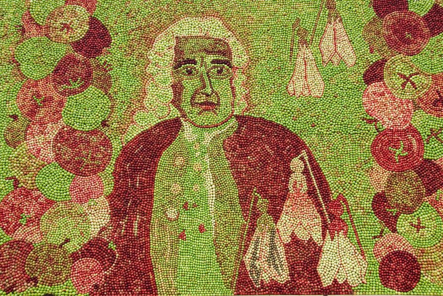 Carl von Linné i röda och gröna äpplen på Kiviks marknad.
