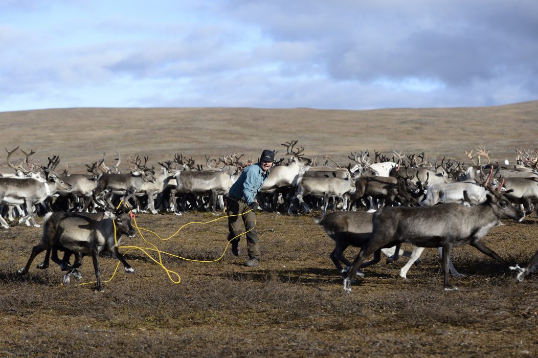 Vem har rätt att besluta om jakt och fiske i fjällområdena ovan odlingsgränsen? Den principiellt viktiga frågan tas upp i HD, som inleder huvudförhandling på måndag den 2 september.