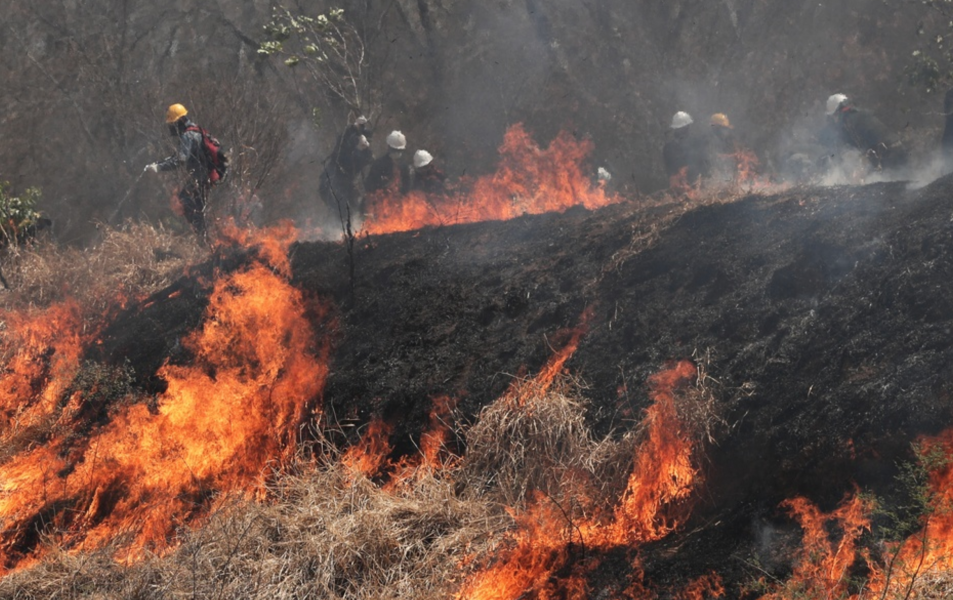 Brandmän kämpar mot skogsbränderna i Bolivia.