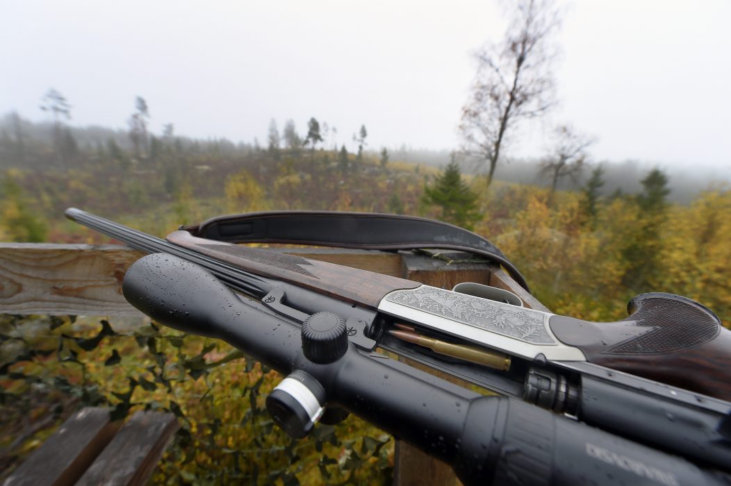 Sjutton jaktlag stoppas från årets älgjakt.