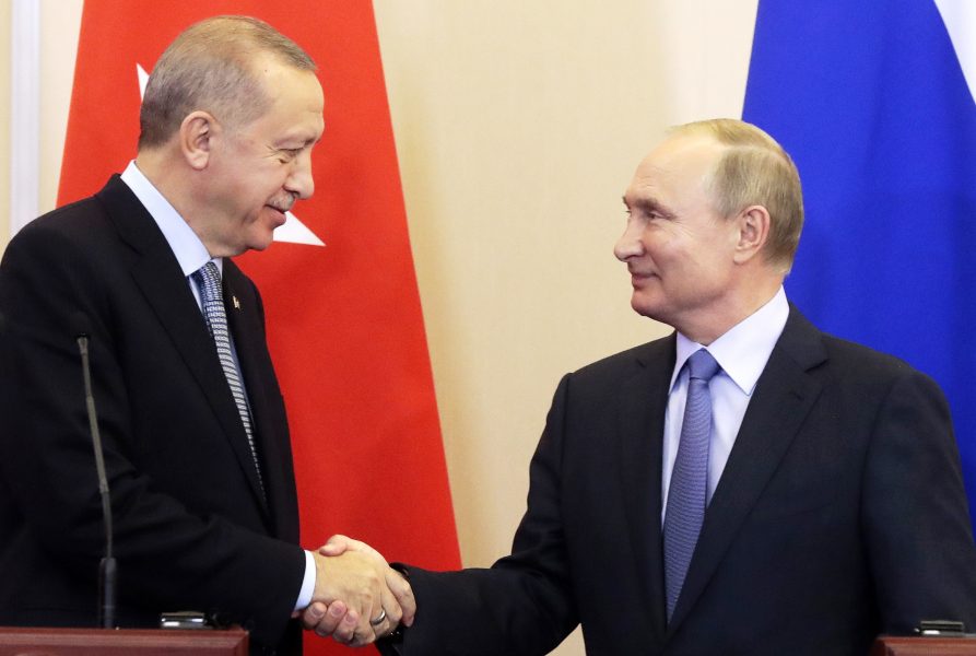Turkiets president Recep Tayyip Erdogan och Vladimir Putin skakar hand efter parternas samtal i Sotji.