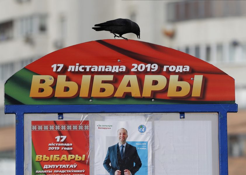 Flera organisationer varnar för att valfusk har förekommit i Vitryssland.