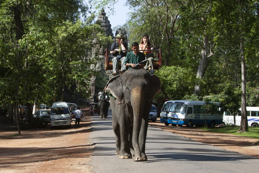 Turister rider på en elefant vid ruinstaden Angkor i Siem Reap i norra Kambodja.