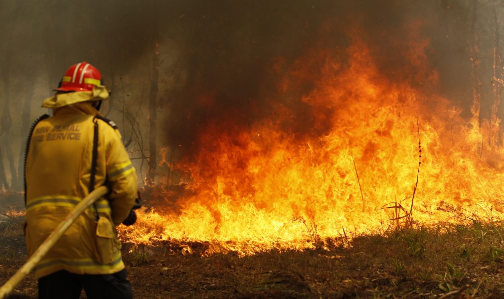 Fyra personer har hittills dött i skogsbränder i år, varmare väder och starka vindar i veckan riskera att förvärra läget ytterligare.