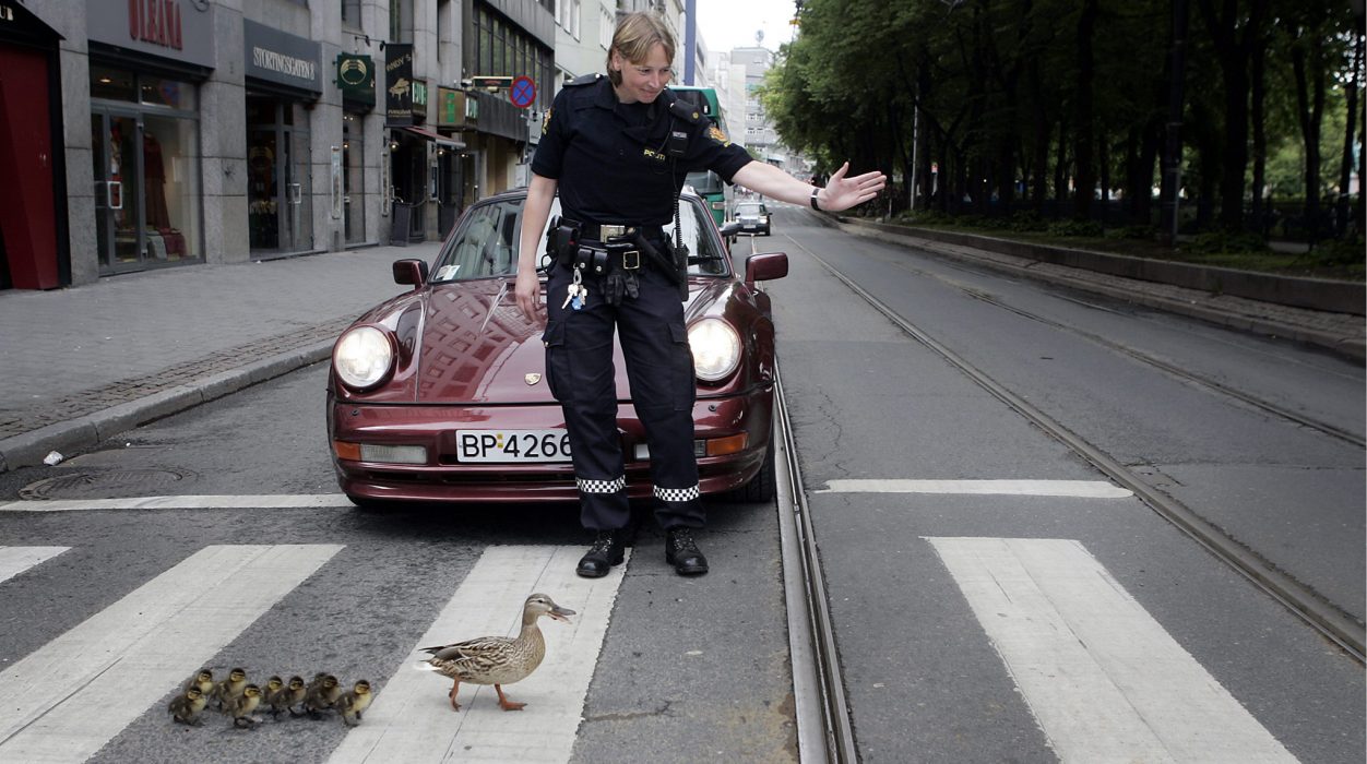 Andledning pågår.