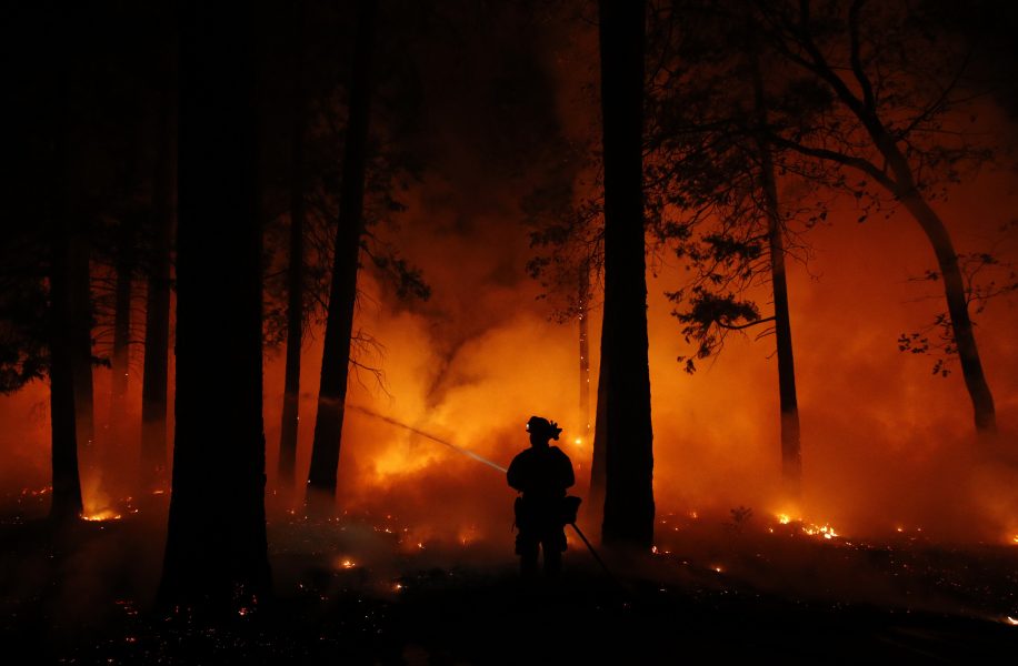 Torka och skogsbränder blir vanligare framöver, förutspår FN:s klimatpanel IPCC.